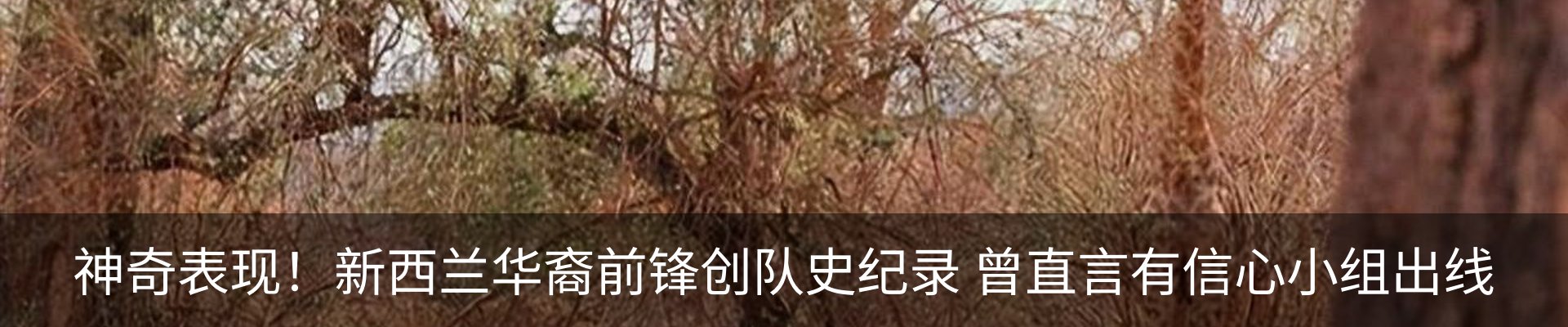 行业资讯